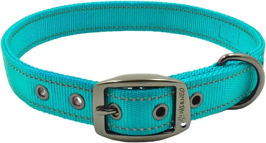 Max and Neo MAX Reflective Metal Buckle Dog Collar - We Donate a Collar to a Dog Rescue for Every Collar Sold (Small, Teal)
