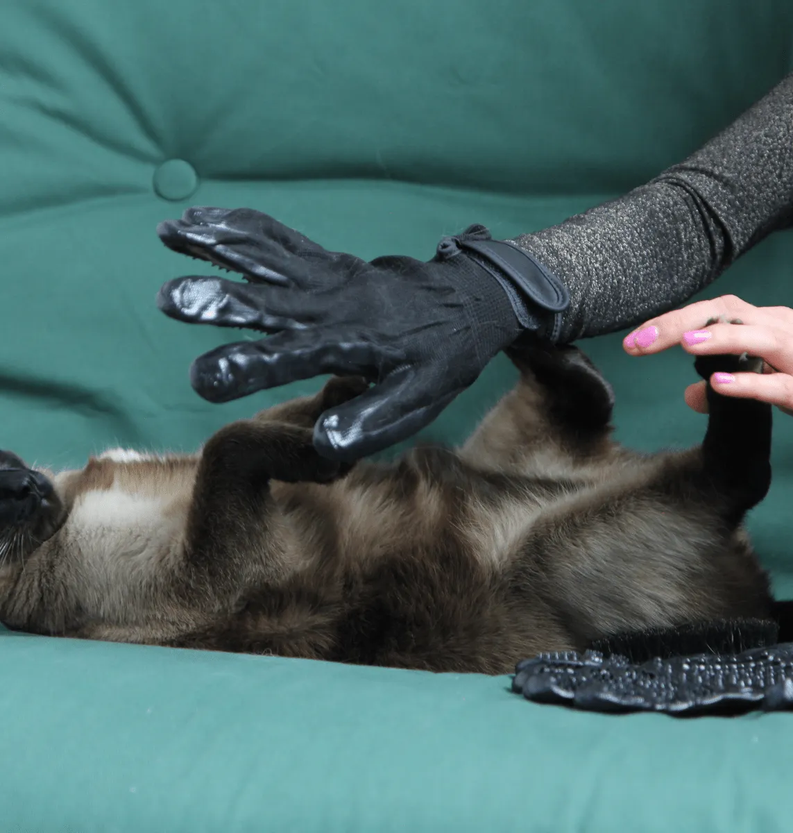 PetPal - Silicone Pet Grooming Glove
