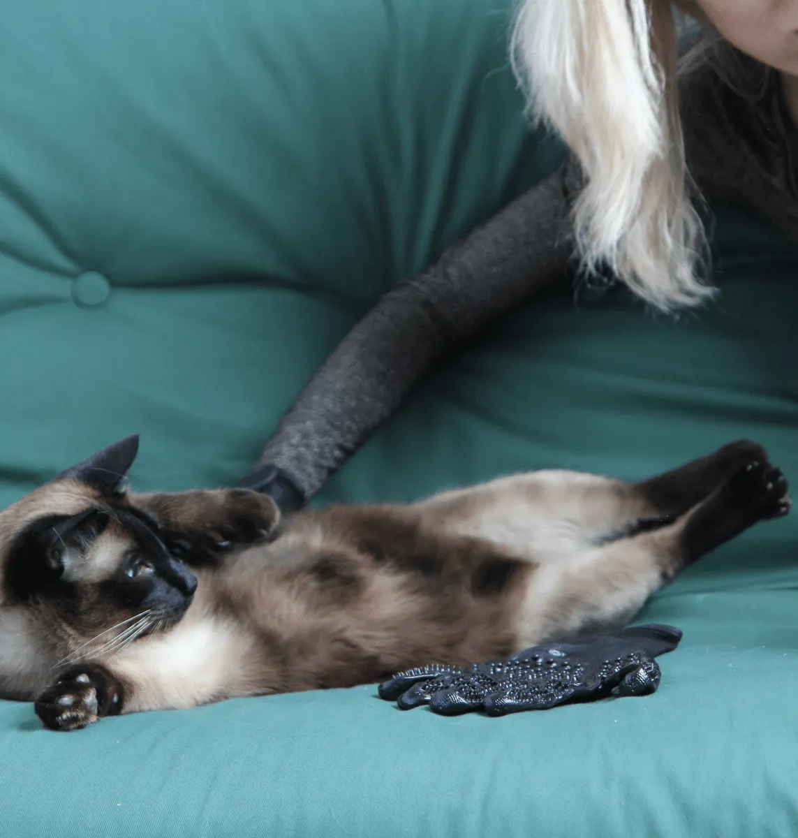 PetPal - Silicone Pet Grooming Glove