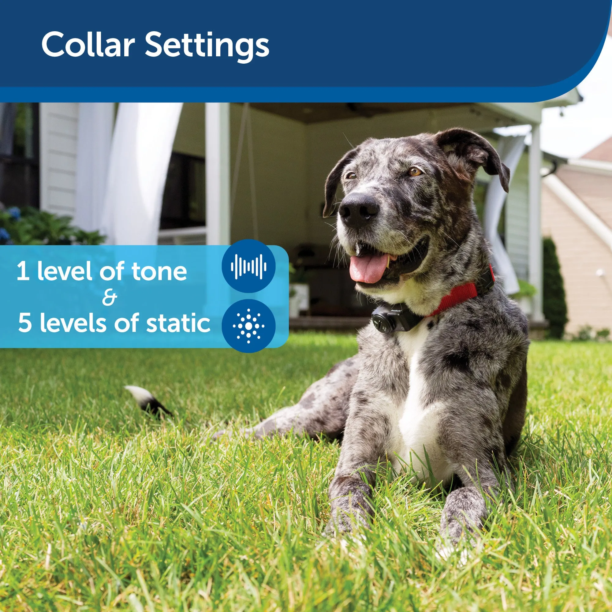 PetSafe Basic In-Ground Fence – Covers 1/3-Acre Yard with Included Wire – Expandable up to 5 Acres – For Pets 8 lbs and Up – From the Parent Company of INVISIBLE FENCE Brand