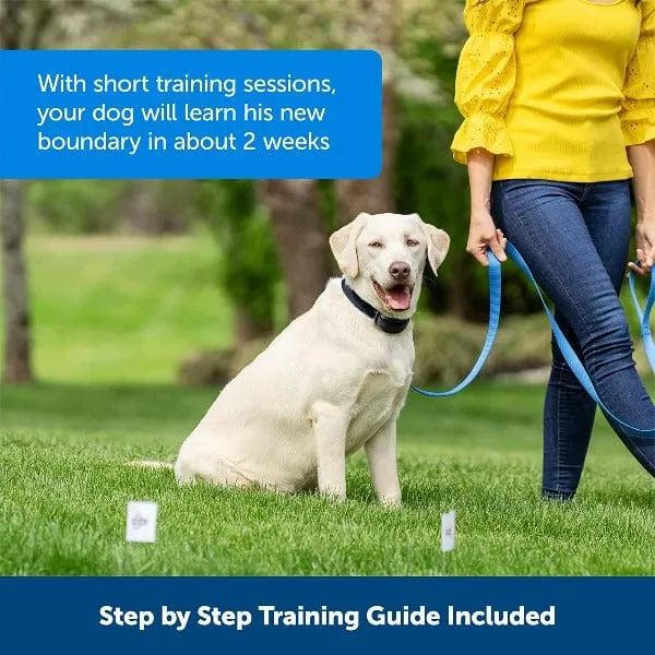 PetSafe Stay   Play Wireless Fence Extra Receiver Collar