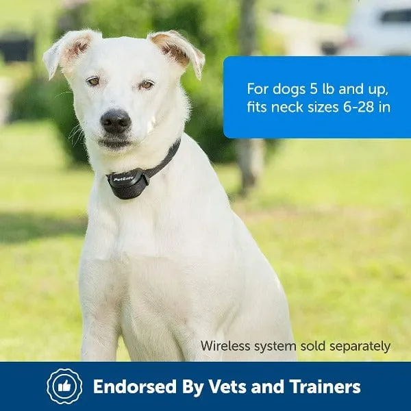 PetSafe Stay   Play Wireless Fence Extra Receiver Collar