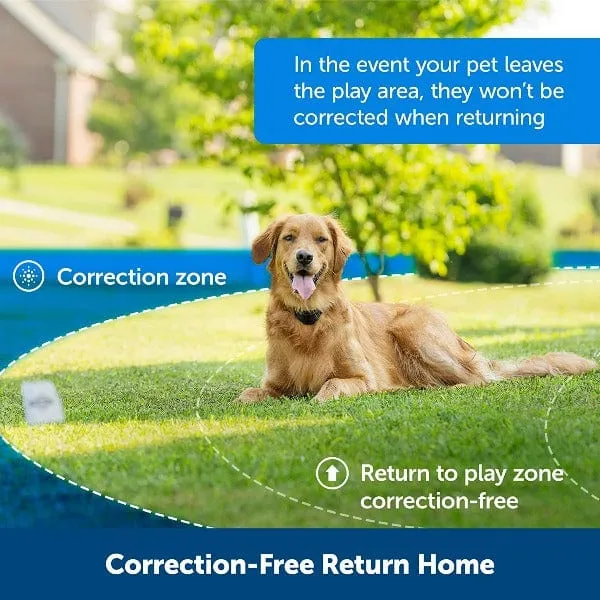PetSafe Stay   Play Wireless Fence Extra Receiver Collar